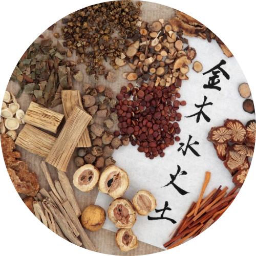 an assortment of herbs and spices arranged in a circle